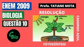 ✅[ENEM 2009] # BIOLOGIA # QUESTÃO 10 – FOTOSSÍNTESE E RESPIRAÇÃO - A fotossíntese é importante ..