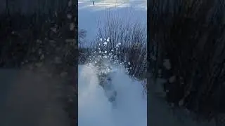 2 ноября 2022 г.