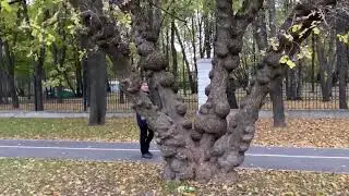 СТАНИСЛАВ БАРТЕНЕВ - 