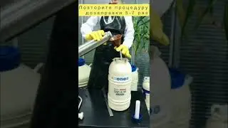 Dryshipper - сосуд Дьюара для транспортировки в парах азота. Инструкция по заправке и эксплуатации.