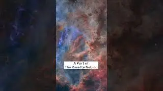 The Rosette Nebula #astronomy #space #youtubeshorts #shorts