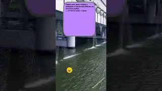 Анекдот ПРО желания #приколы #смех #анекдоты #шутки #юмор