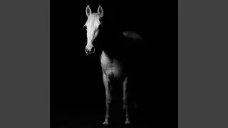 I'm a Horse (Instrumental)