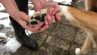 Vicki Romps Outside Protected by Musher's Secret