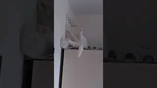 Это просто,Руна...