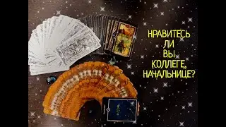 WHAT DOES A FEMALE COLLEAGUE OR BOSS THINK? DOES YOUR FEMALE COLLEAGUE OR BOSS LIKE YOU? TAROT FO...
