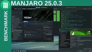 MANJARO 25.0.3 LINUX Gaming Performance | Gaming on Linux