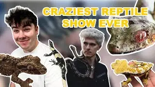The Most *INSANE* Reptile Show Ever! (NARBC Tinley Park - March 2022)
