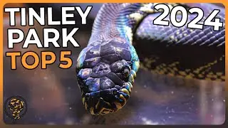 The Top 5 Incredible ANIMALS at NARBC Tinley Park 2024!