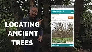 Ancient Tree Search : Landscape & Woodland Photography