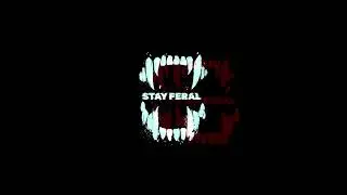 Test Intro for Stay Feral, it is wat it is.