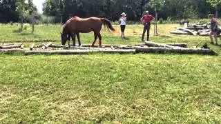 Extreme Trail