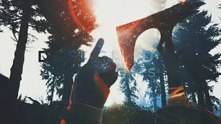 Weekly Highlights Pt.1