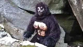 De Beerput #33: Suburban Sasquatch (2004)