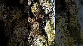 Какая красота! И грибочки 😁😁