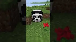Rarest Panda of All? #minecraft