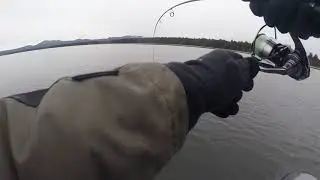 Закрытие сезона жидкой воды 2020. озеро Тунайча порадовало.