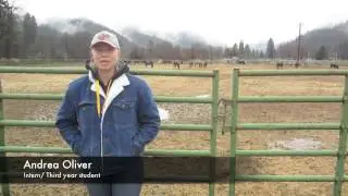 Feather River College Equine Studies Program Video