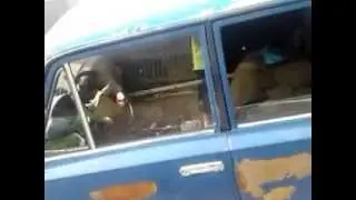 Гангстеры