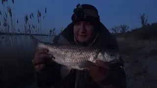 Рыбалка с Берега на Реке Ловля Голавля на Донки Закидушки