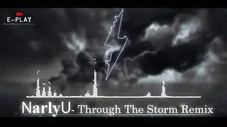 NarlyU -Through The Storm Remix