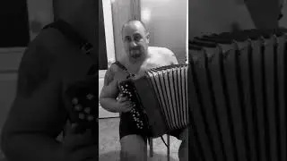 Жарим на баяне