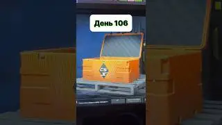 Открываю один кейс каждый день пока не выпадет нож 
