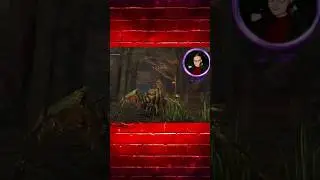 Паучек решил выпендриться hogwarts legacy #hogwartslegacy #hogwarts #stream #стример #приколы #мемы