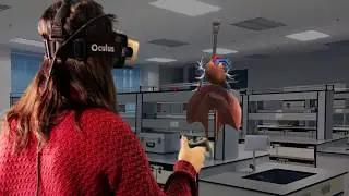 VR of Human Body 3D models