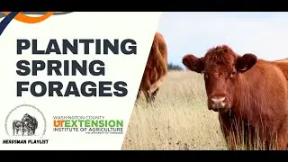 Herdsman Playlist: Planting Spring Forages