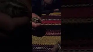 Бедана ишкибозларига 915448331
