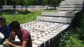 ফোনে প্রেম করার পেরা