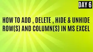 How to add, delete, hide & unhide row(s) and column(s) in MS Excel  Day 6