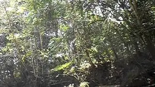 PA010897