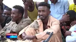 hogaamiyihi ciyaal weerada oo lasso qabtay