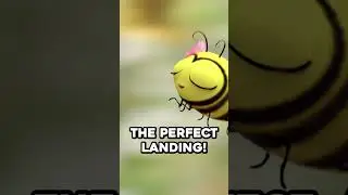 What's that noise?! #LucastheSpider