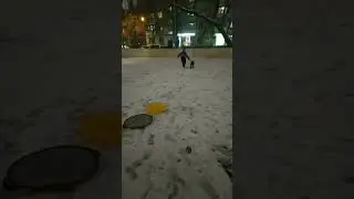 Марта, гуляет.