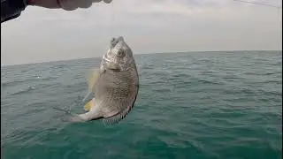fishing vlog