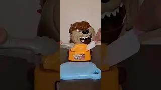 Don't get his food / Mad dog Asmr #shorts