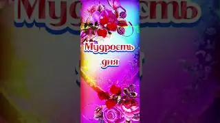 Мудрость дня!☝️