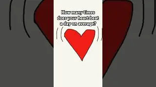 How Many Times a Day Does Your Heart Beat On Average? #shorts #animation