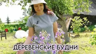 Ловим лучики солнца ... и продолжаем работы