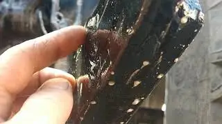 Мтз и очередной  агрегат.