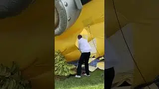 MrBeast DESTROYED The Worlds LARGEST Minion!