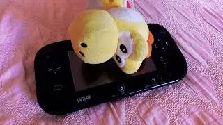 Casual Morning Stream