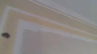 жидкие обои Караганда