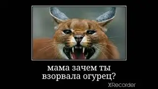 русский шлёпа мем