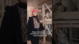 Да не успеваю я ничего 😁 