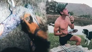 Rabbit Hunting | Catch And Cook