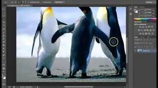 removing the background in Photoshp